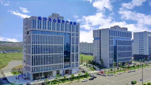 軟件業(yè)高速發(fā)展，為什么是天心長沙軟件開發(fā)