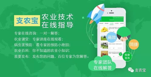農業(yè)技術推廣與軟件開發(fā) 一場數(shù)字時代的持久戰(zhàn)
